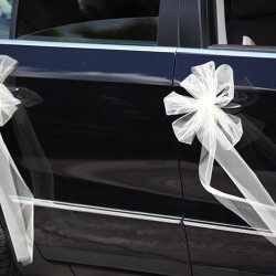 Autoschmuck Hochzeit günstig