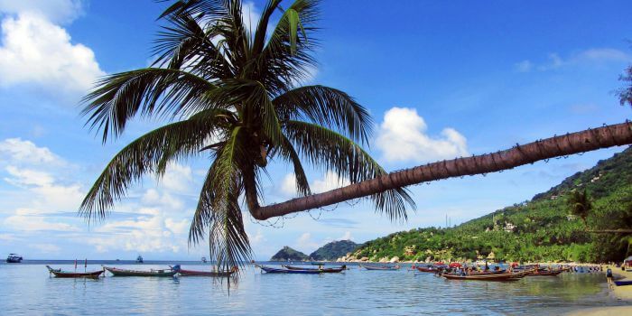 Flitterwochen Thailand günstig