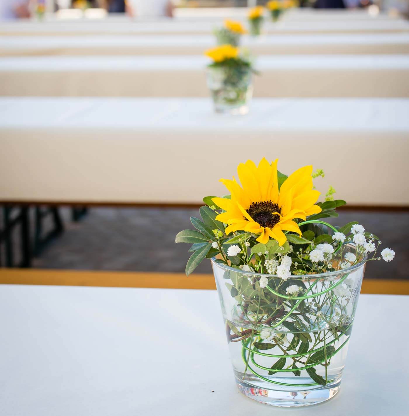 47+ Sonnenblumen Sprüche Hochzeit, Sonnenblumen machen so eine