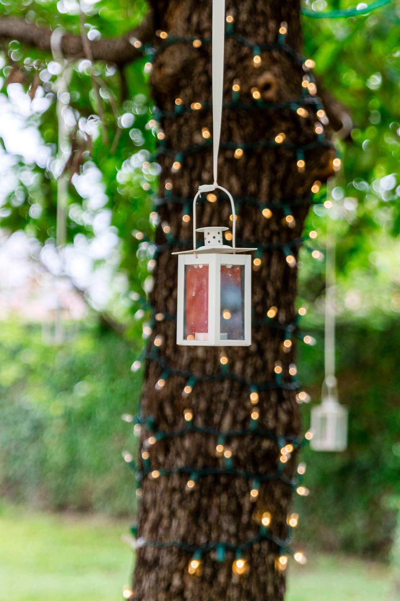 Baum Lichterkette  Bildergalerie mit vielen schönen Anregungen