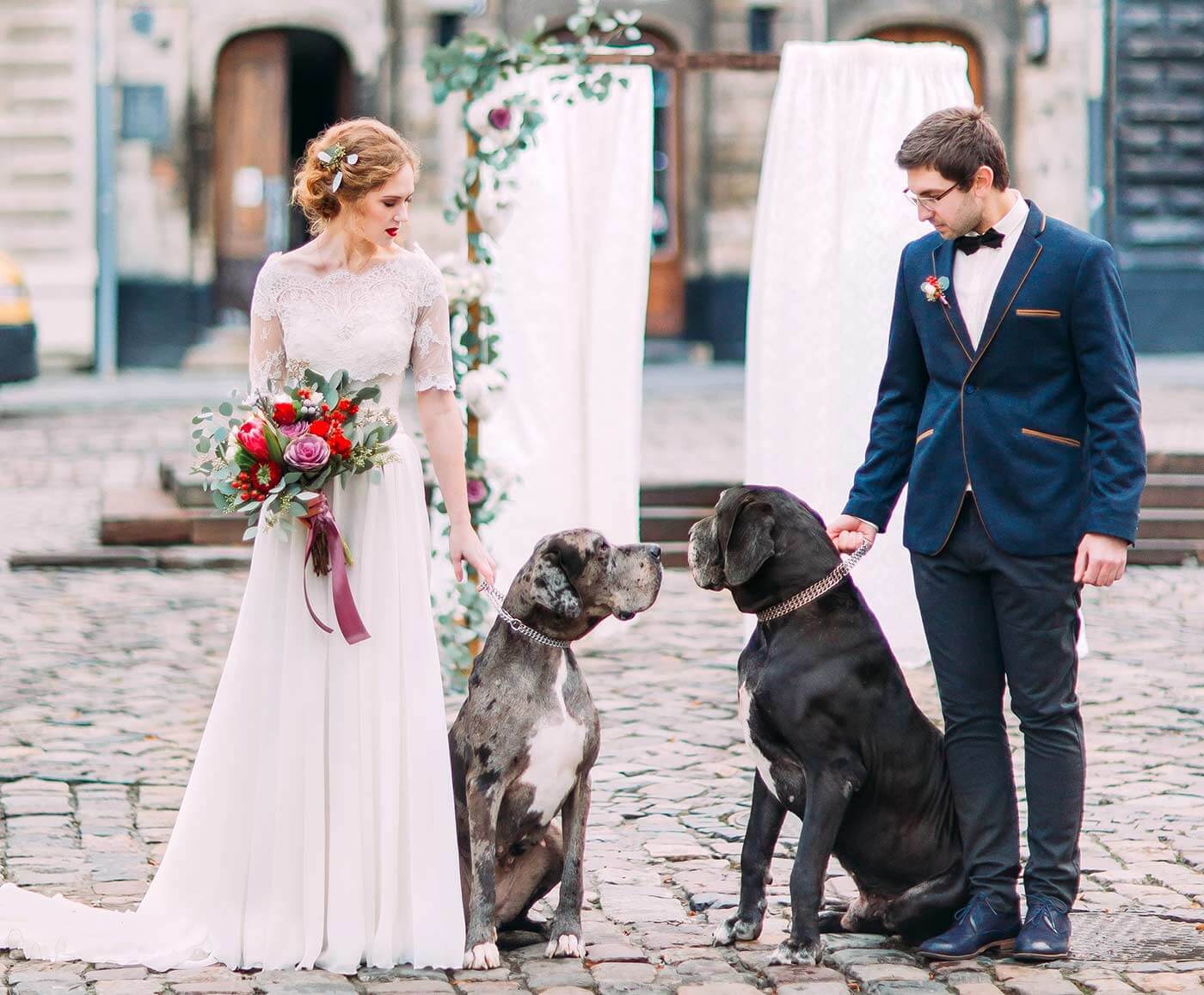Hund zur Hochzeit Die besten Tipps & Ideen, euer Tier mit einzubeziehen