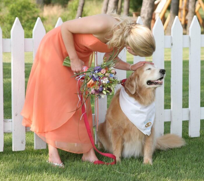 Hund zur Hochzeit Die besten Tipps & Ideen, euer Tier mit einzubeziehen
